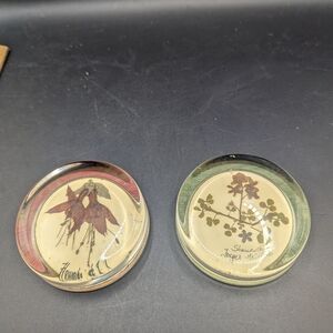 Vintage Botanical Paperweights Flowers Of Ireland